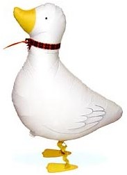 お散歩ダック あひる
